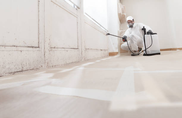 24/7 Emergency Basement Mold Remediation experts in Lovettsville, VA
